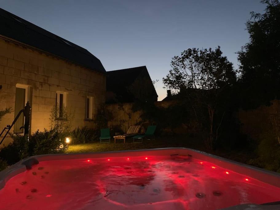 La Maison De Paulette Meuble De Tourisme 4 Etoiles Neuvy-le-Roi Kültér fotó